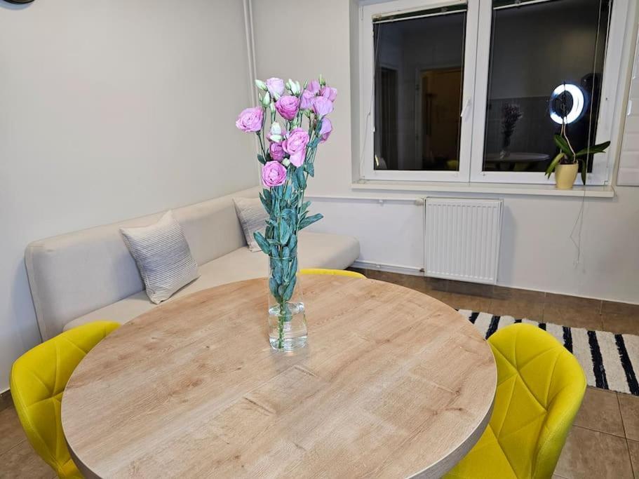 Grandpa Vojin'S Cozy Corner Apartman Szabadka Kültér fotó